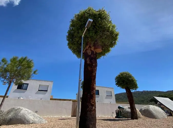 Maison Neuve Vecchio